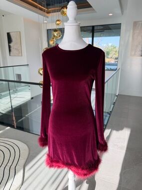 Women's Velvet Maroon Dress with Feather Trim- size Small NWOT